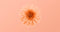 Pantone 13-1023 Peach Fuzz